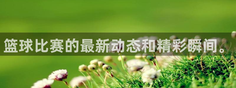 篮球比赛的最新动态和精彩瞬间。
