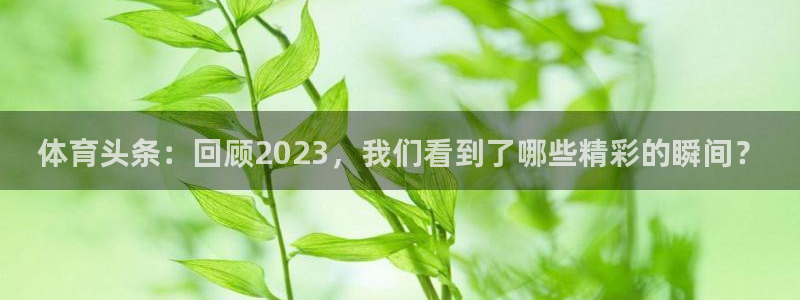 体育头条：回顾2023，我们看到了哪些精彩的瞬间？