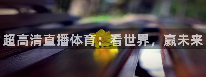超高清直播体育：看世界，赢未来
