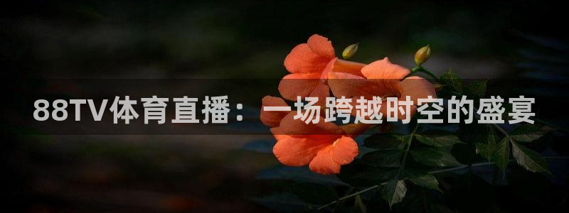 88TV体育直播：一场跨越时空的盛宴