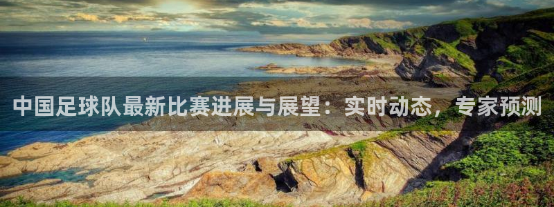 中国足球队最新比赛进展与展望：实时动态，专家预测