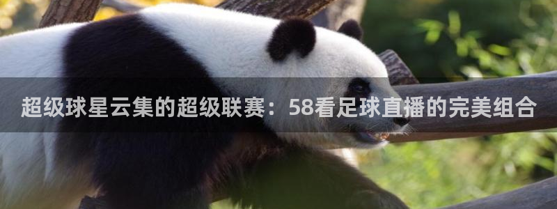 超级球星云集的超级联赛：58看足球直播的完美组合