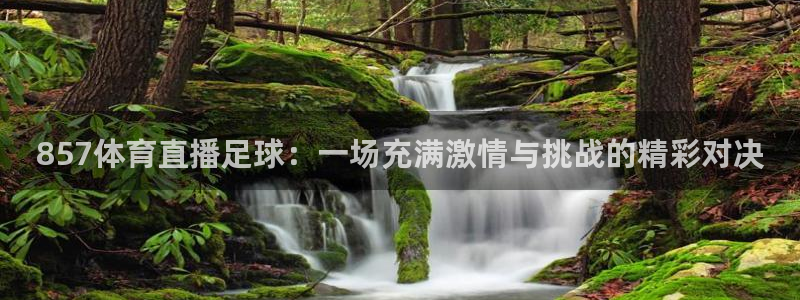 857体育直播足球：一场充满激情与挑战的精彩对决