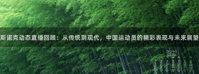 斯诺克动态直播回顾：从传统到现代，中国运动员的精彩表现与未来展望