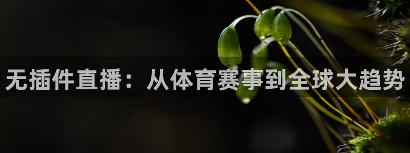 无插件直播：从体育赛事到全球大趋势
