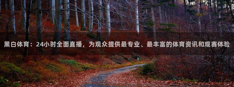 黑白体育：24小时全面直播，为观众提供最专业、最丰富的体育资讯和观赛体验
