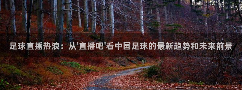 足球直播热浪：从\'直播吧\'看中国足球的最新趋势和未来前景