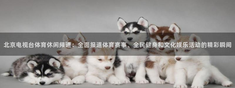 北京电视台体育休闲频道：全面报道体育赛事、全民健身和文化娱乐活动的精彩瞬间