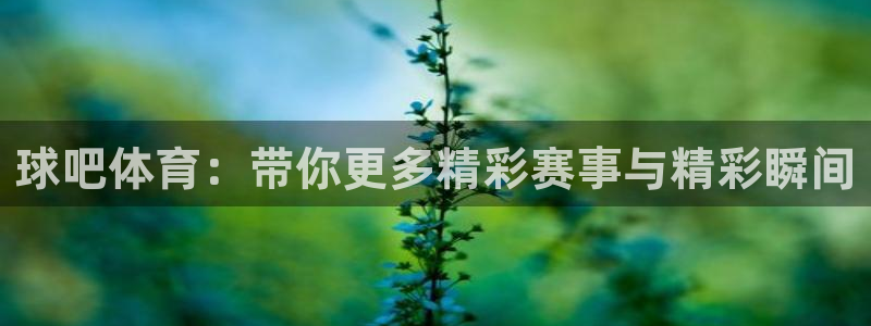 球吧体育：带你更多精彩赛事与精彩瞬间