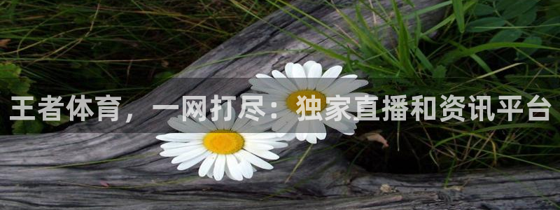 王者体育，一网打尽：独家直播和资讯平台