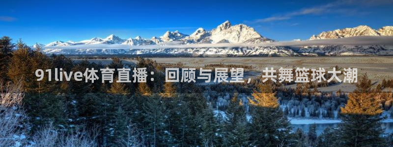 91live体育直播：回顾与展望，共舞篮球大潮