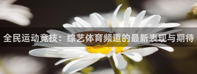 全民运动竞技：综艺体育频道的最新表现与期待