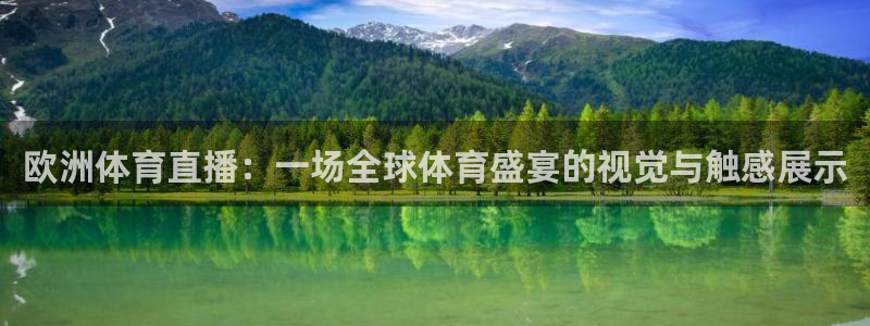 欧洲体育直播：一场全球体育盛宴的视觉与触感展示