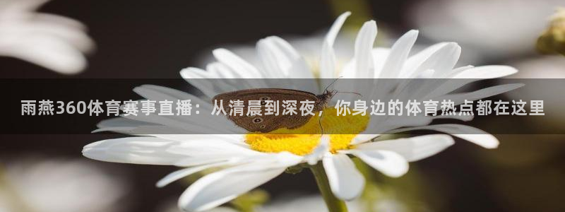 雨燕360体育赛事直播：从清晨到深夜，你身边的体育热点都在这里