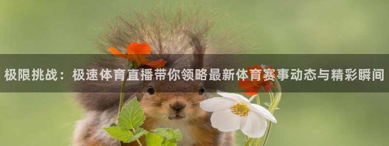 极限挑战：极速体育直播带你领略最新体育赛事动态与精彩瞬间