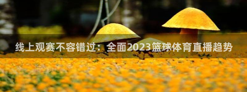 线上观赛不容错过：全面2023篮球体育直播趋势