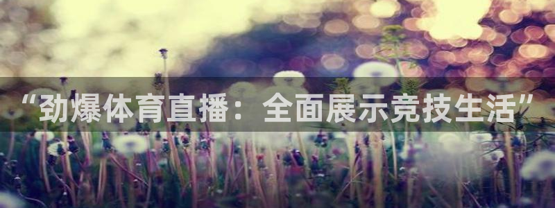 “劲爆体育直播：全面展示竞技生活”