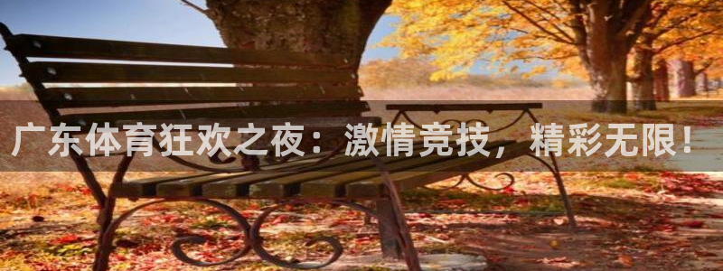 广东体育狂欢之夜：激情竞技，精彩无限！