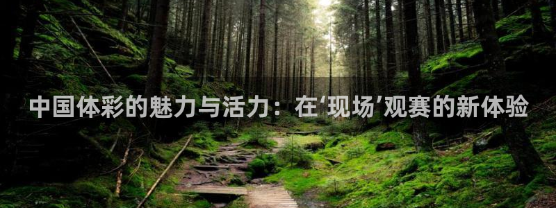 中国体彩的魅力与活力：在‘现场’观赛的新体验
