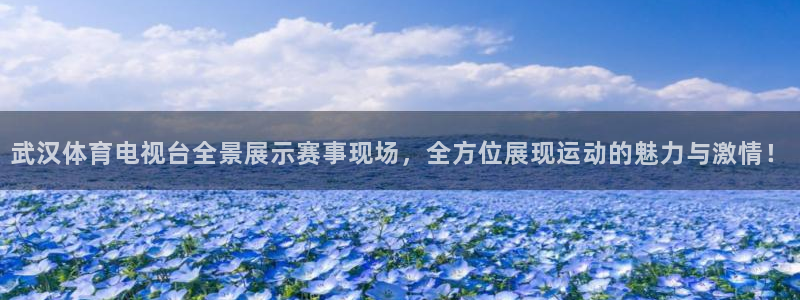 武汉体育电视台全景展示赛事现场，全方位展现运动的魅力与激情！