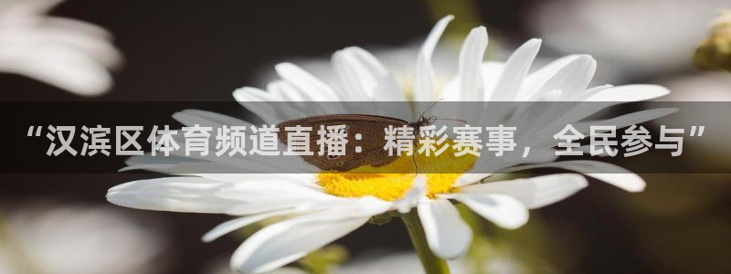 “汉滨区体育频道直播：精彩赛事，全民参与”