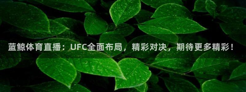 蓝鲸体育直播：UFC全面布局，精彩对决，期待更多精彩！