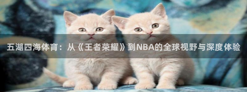 五湖四海体育：从《王者荣耀》到NBA的全球视野与深度体验