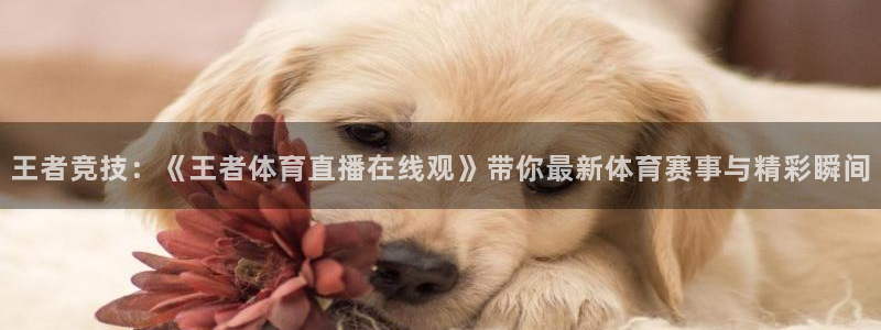 王者竞技：《王者体育直播在线观》带你最新体育赛事与精彩瞬间