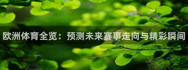 欧洲体育全览：预测未来赛事走向与精彩瞬间