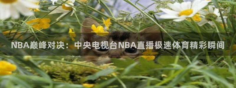 NBA巅峰对决：中央电视台NBA直播极速体育精彩瞬间