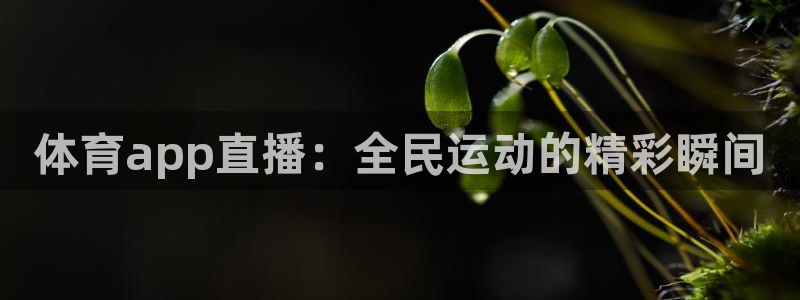 体育app直播：全民运动的精彩瞬间