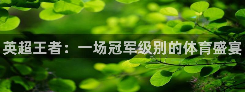 英超王者：一场冠军级别的体育盛宴