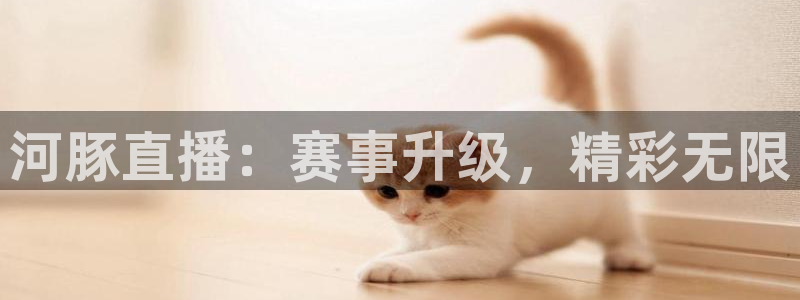 河豚直播：赛事升级，精彩无限