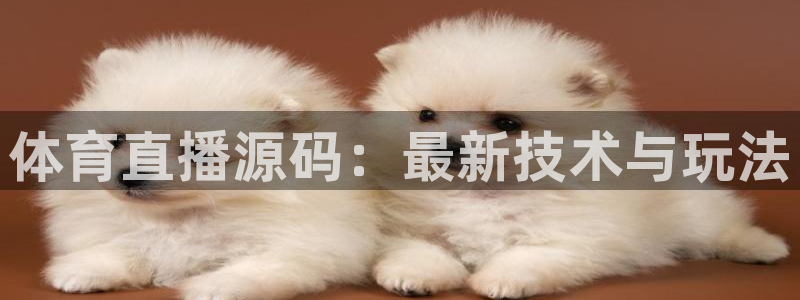体育直播源码：最新技术与玩法