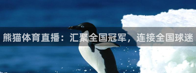 熊猫体育直播：汇聚全国冠军，连接全国球迷