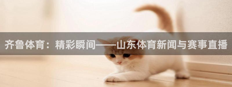 齐鲁体育：精彩瞬间——山东体育新闻与赛事直播