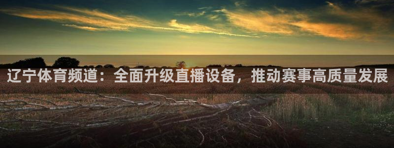 辽宁体育频道：全面升级直播设备，推动赛事高质量发展