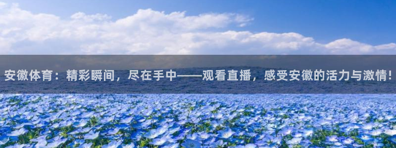 安徽体育：精彩瞬间，尽在手中——观看直播，感受安徽的活力与激情!