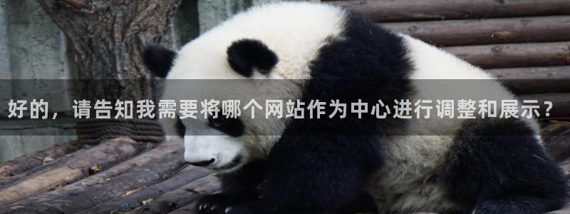 好的，请告知我需要将哪个网站作为中心进行调整和展示？