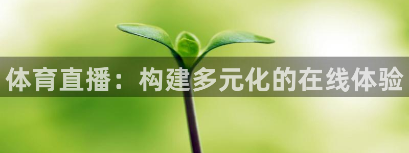 体育直播：构建多元化的在线体验