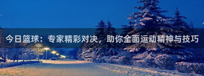 今日篮球：专家精彩对决，助你全面运动精神与技巧