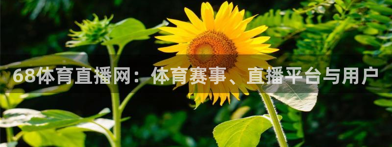 68体育直播网：体育赛事、直播平台与用户