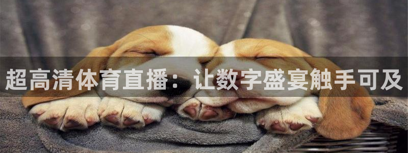 超高清体育直播：让数字盛宴触手可及