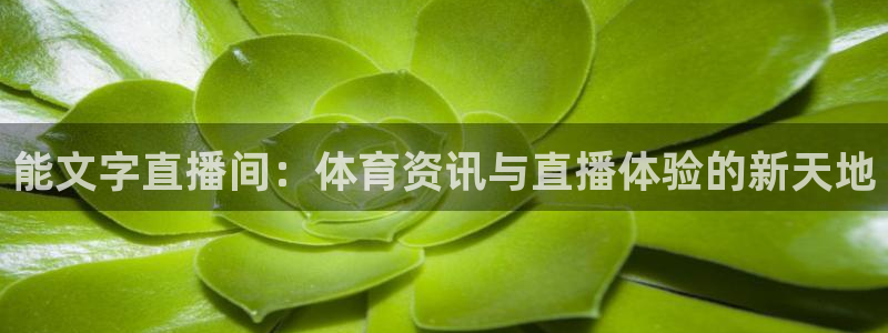 能文字直播间：体育资讯与直播体验的新天地