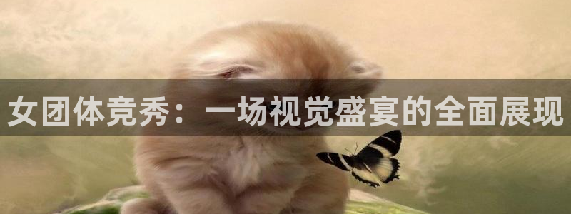 女团体竞秀：一场视觉盛宴的全面展现