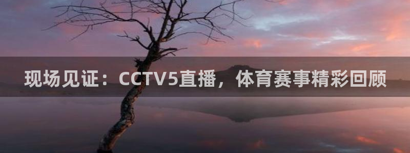 现场见证：CCTV5直播，体育赛事精彩回顾